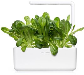 Click & Grow Smart Garden refill Салат 3 шт цена и информация | Проращиватели, лампы для растений | 220.lv