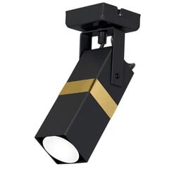 Milagro griestu lampa Vidar Black / Gold cena un informācija | Griestu lampas | 220.lv