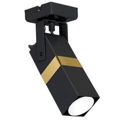 Milagro griestu lampa Vidar Black / Gold цена и информация | Потолочные светильники | 220.lv