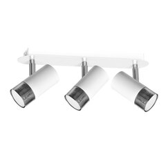 Milagro потолочный светильник Dani White/Chrome цена и информация | Потолочные светильники | 220.lv