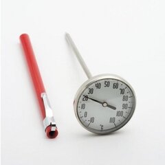 Термометр Weis цена и информация | Кухонные принадлежности | 220.lv