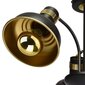 Milagro griestu lampa Margo Black/Gold цена и информация | Griestu lampas | 220.lv