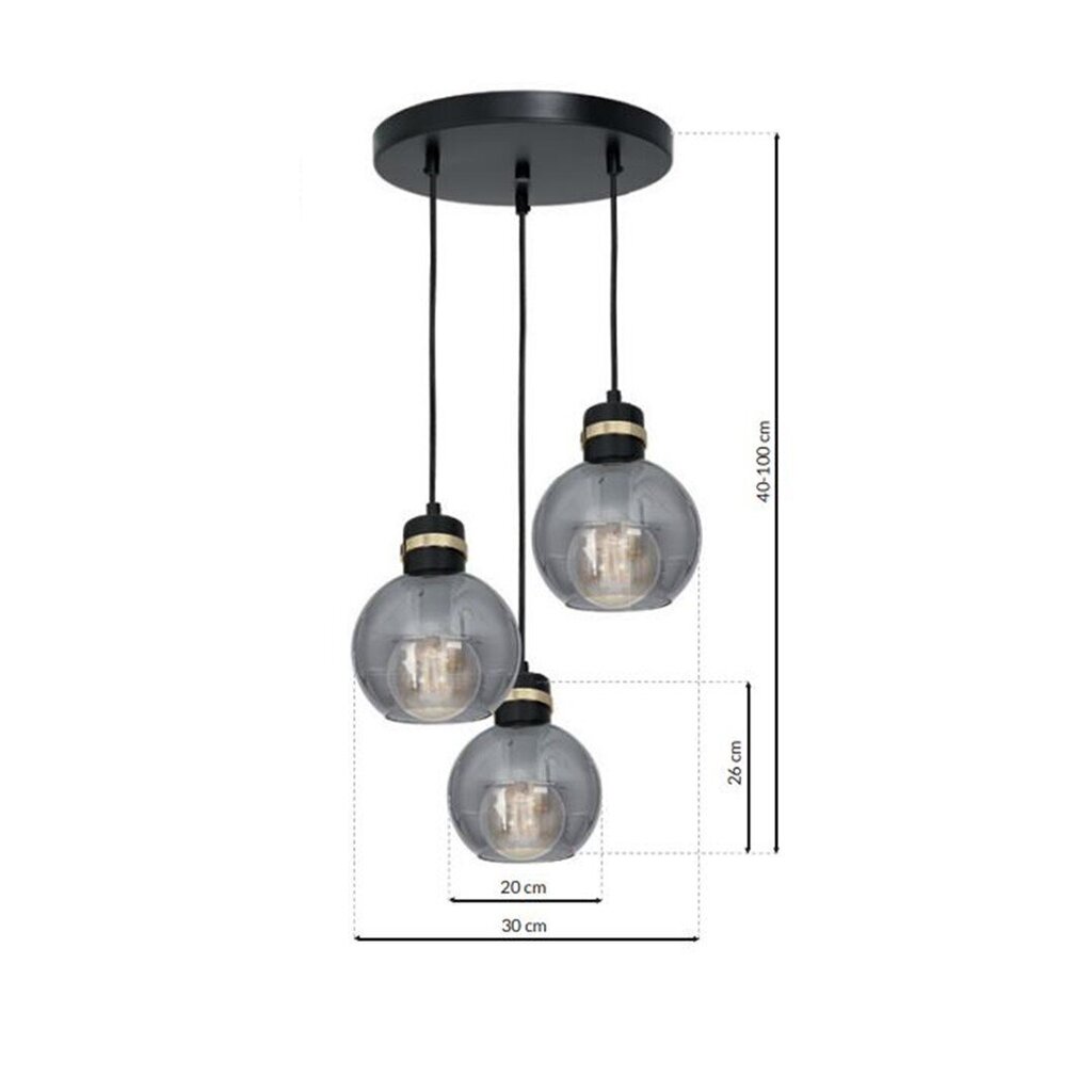 Eko-Light piekarināmā lampa Omega Black/Gold 3 cena un informācija | Lustras | 220.lv