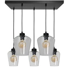 Eko-Light piekarināmā lampa Santiago Clear 5 цена и информация | Люстры | 220.lv