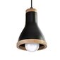 Milagro piekarināmā lampa Holly Black/Wood 3 cena un informācija | Lustras | 220.lv