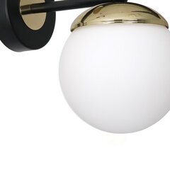 Milagro настольная лампа Sparta Black/Gold цена и информация | Настенные светильники | 220.lv