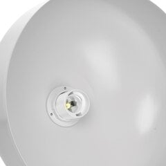 Milagro piekarināmā lampa Malmo White/Chrome cena un informācija | Lustras | 220.lv