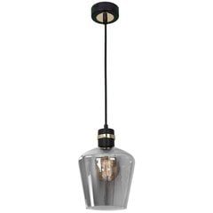 Eko-Light подвесной светильник Richmond Black/Gold цена и информация | Настенный/подвесной светильник Eye Spot 11 BL, чёрный | 220.lv