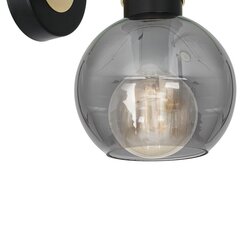 Milagro настенный светильник Omega Black/Gold цена и информация | Настенные светильники | 220.lv