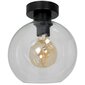 Milagro griestu lampa Sofia Clear цена и информация | Griestu lampas | 220.lv