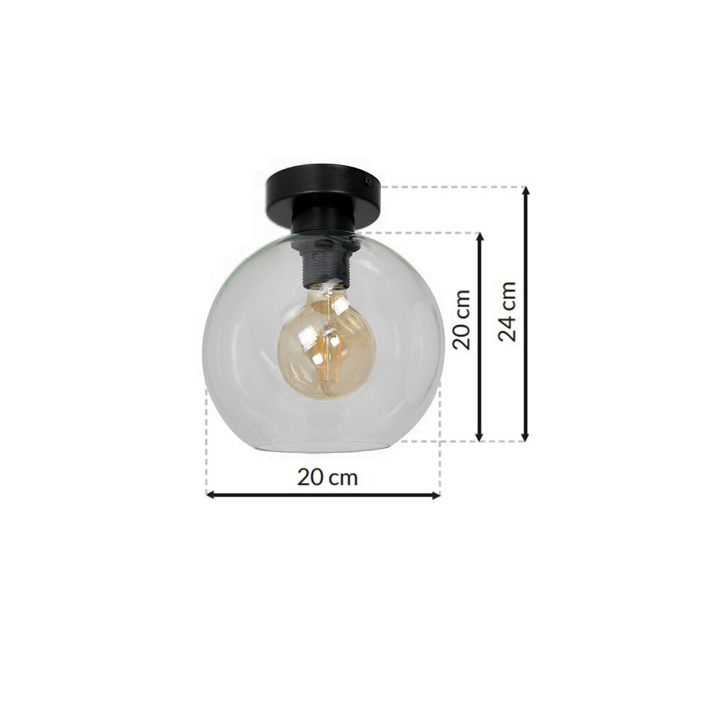 Milagro griestu lampa Sofia Clear cena un informācija | Griestu lampas | 220.lv