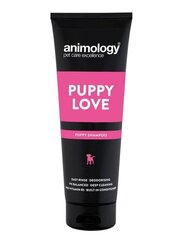 Animology šampūns Puppy Love, 250 ml cena un informācija | Kosmētiskie līdzekļi dzīvniekiem | 220.lv