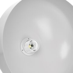 Milagro подвесной светильник Malmo White/Gold цена и информация | Люстры | 220.lv