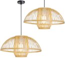 Piekaramā lampa Natural B