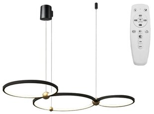 Piekaramā LED lampa ar tālvadības pulti Planetary Rings A цена и информация | Люстры | 220.lv