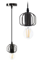 Piekaramā lampa Vision, Black Shine cena un informācija | Piekaramās lampas | 220.lv