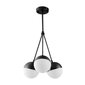 Piekaramā lampa Trio, Black цена и информация | Piekaramās lampas | 220.lv