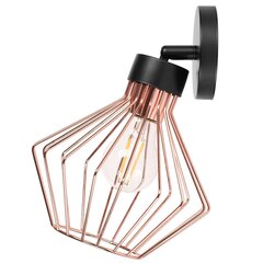 Sienas lampa Neo, Rose/Black cena un informācija | Sienas lampas | 220.lv