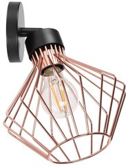 Sienas lampa Neo, Rose/Black cena un informācija | Sienas lampas | 220.lv