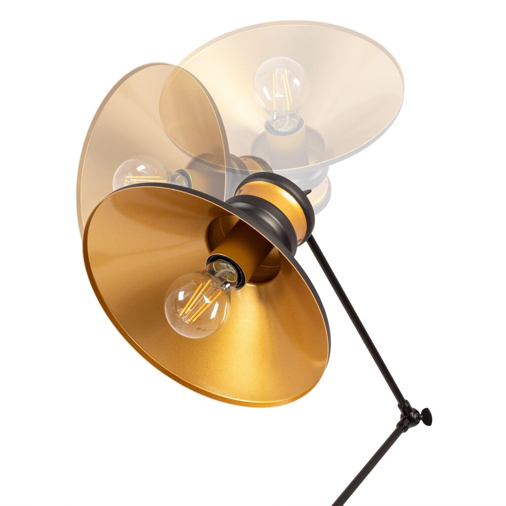 Stāvlampa Asti B, Black/Gold cena un informācija | Stāvlampas | 220.lv