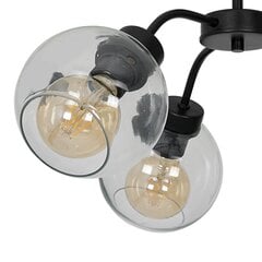 Milagro griestu lampa Sofia Clear цена и информация | Потолочные светильники | 220.lv