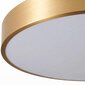 Griestu lampa Classic Gold, 30 cm цена и информация | Griestu lampas | 220.lv