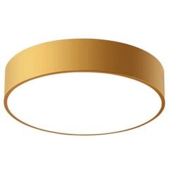 Griestu lampa Classic Gold, 30 cm цена и информация | Потолочные светильники | 220.lv