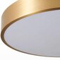 Griestu lampa Classic Gold, 40 cm цена и информация | Griestu lampas | 220.lv