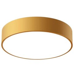 Griestu lampa Classic Gold, 40 cm цена и информация | Потолочные светильники | 220.lv