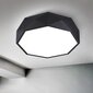 Griestu lampa Black Diamond, 30 cm цена и информация | Griestu lampas | 220.lv