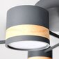 Griestu lampa ar tālvadības pulti Ronda 8, Grey цена и информация | Griestu lampas | 220.lv