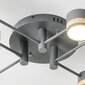 Griestu lampa ar tālvadības pulti Ronda 6, Grey cena un informācija | Griestu lampas | 220.lv