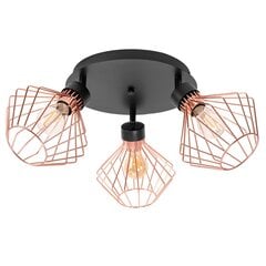 Griestu lampa Neo 3, Rose/Black cena un informācija | Griestu lampas | 220.lv