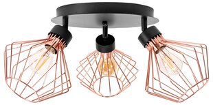 Griestu lampa Neo 3, Rose/Black cena un informācija | Griestu lampas | 220.lv