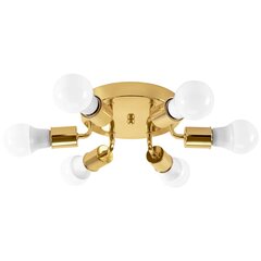 Griestu lampa Minimal 6, Gold cena un informācija | Griestu lampas | 220.lv