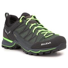 Pārgājienu zābaki vīriešiem Salewa Ms Mtn Trainer Lite GTX цена и информация | Мужские ботинки | 220.lv