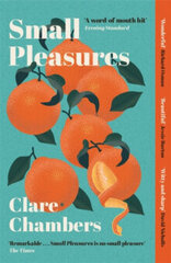 Small Pleasures : Longlisted for the Women's Prize for Fiction 2021 cena un informācija | Romāni | 220.lv