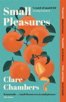 Small Pleasures : Longlisted for the Women's Prize for Fiction 2021 cena un informācija | Romāni | 220.lv