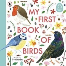 My First Book of Birds цена и информация | Энциклопедии, справочники | 220.lv