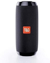 T&G TG117 cena un informācija | Skaļruņi | 220.lv