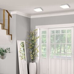 Eko-Light потолочный LED светильник AJAX 10 W цена и информация | Потолочный светильник | 220.lv