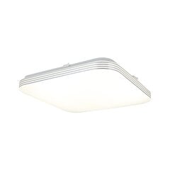 Eko-Light griestu lampa Ajax цена и информация | Потолочные светильники | 220.lv