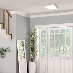 Eko-Light потолочный LED светильник AJAX 27 W цена и информация | Потолочный светильник | 220.lv