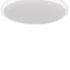 Milagro потолочный LED светильник Terma White 18 W цена и информация | Потолочные светильники | 220.lv