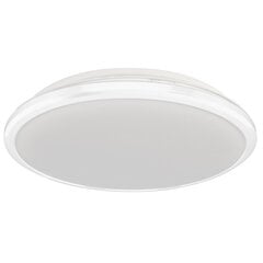 Milagro потолочный LED светильник Terma White 18 W цена и информация | Потолочные светильники | 220.lv