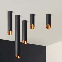 Griestu lampa Needle, Black/Gold, 30 cm cena un informācija | Griestu lampas | 220.lv