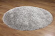 Paklājs Rhapsody 2501-906 Round, 1.6 x 1.6m (apvalus) cena un informācija | Paklāji | 220.lv