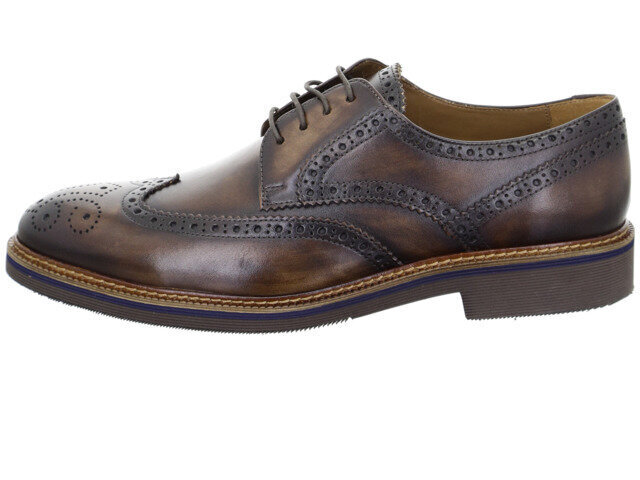 Salamander vīriešu brūni "oksford" stila apavi TAVELLO cena un informācija | Vīriešu kurpes, zābaki | 220.lv