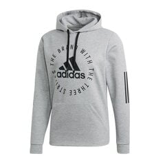 Džemperis vīriešiem Adidas Sport ID Pullover HD M DT9926, 47829 cena un informācija | Vīriešu jakas | 220.lv