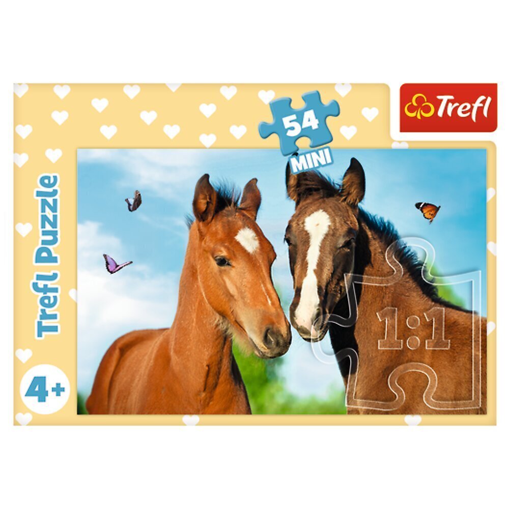 TREFL Puzle 54 Jauki dzīvnieki цена и информация | Puzles, 3D puzles | 220.lv